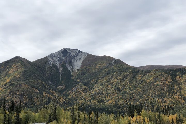 Wrangell Mountain Lodge