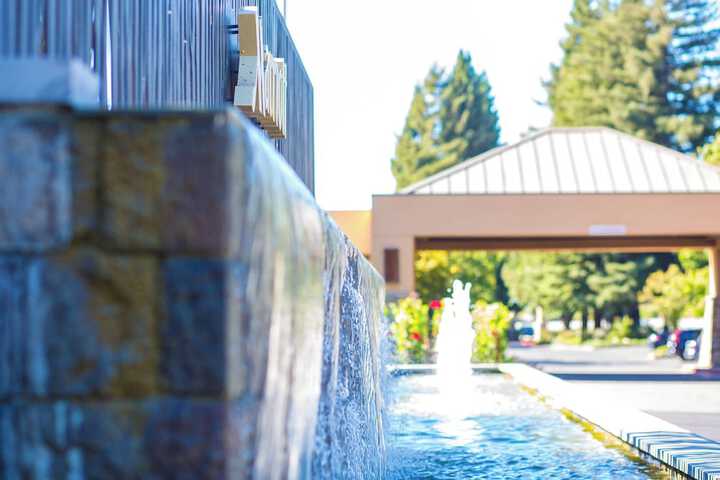 Napa Valley Marriott Hotel & Spa