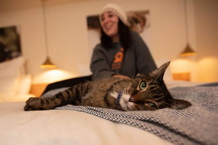 Pet Friendly 45 of 51