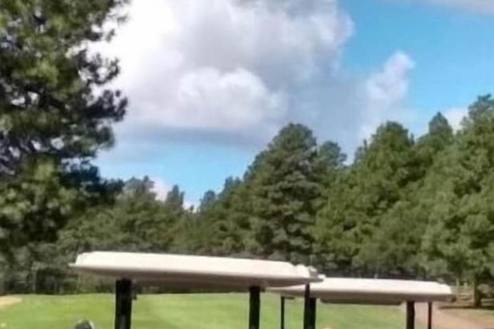 Golf 35 of 37