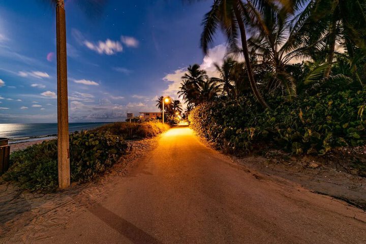 Beach 55 of 60