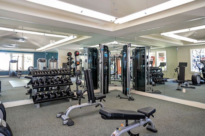 Health and Fitness 243 of 277