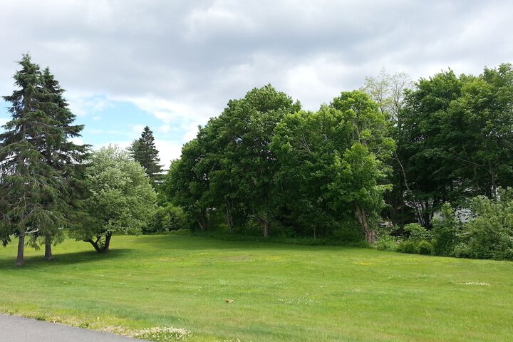 Property Grounds 53 of 54