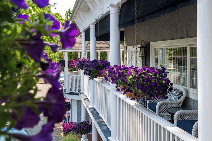 Terrace/Patio 65 of 77