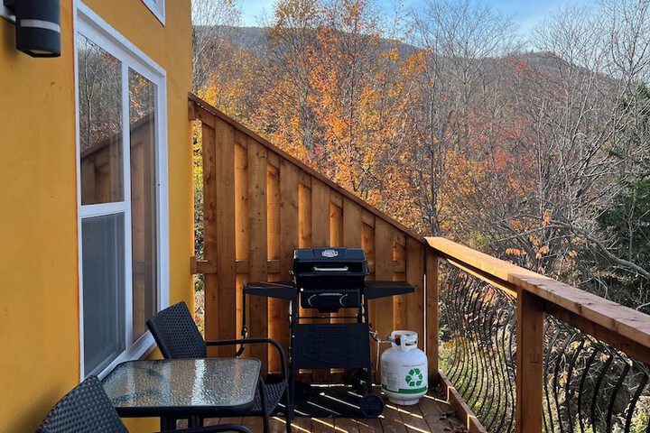 Terrace/Patio 83 of 85