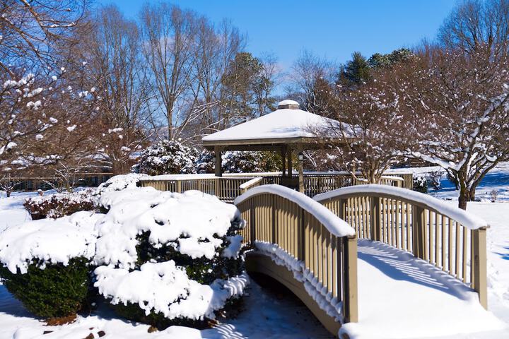 Tremont Lodge & Resort