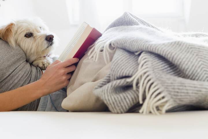 Pet Friendly 121 of 124