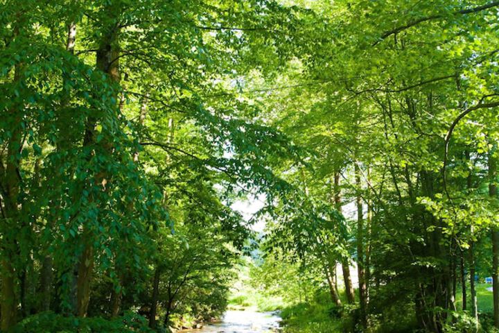 Valle Crucis Farm