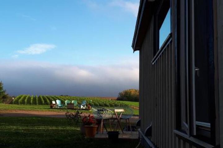 Raven Hill Vineyard