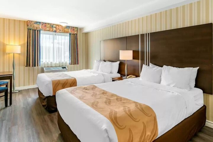 Quality Hotel & Suites