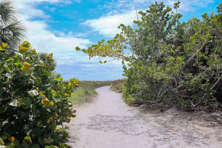 Beach 95 of 100