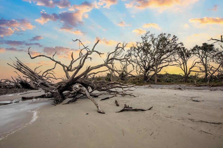 Holiday Inn Resort Jekyll Island by IHG