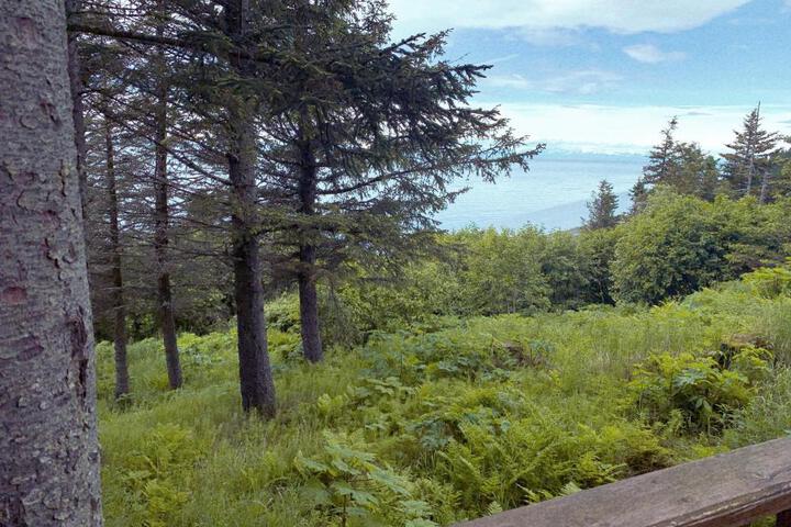 Lost Anchor Cabins - Ocean-view cabins on the bluff