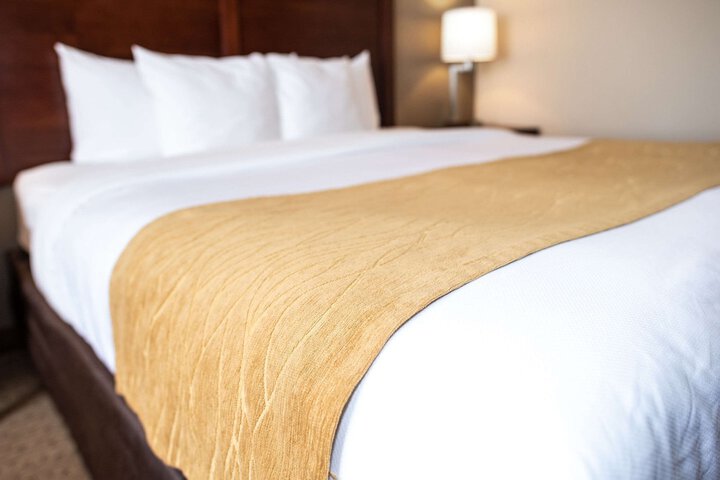Comfort Inn & Suites Custer - Crazy Horse Area