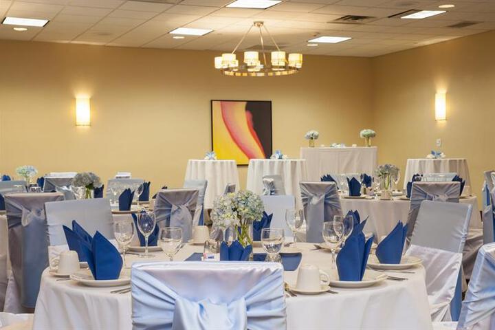 HOLIDAY INN ITASCA (WOODFIELD AREA) (EX