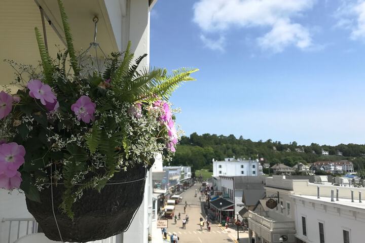 Lilac Tree Suites
