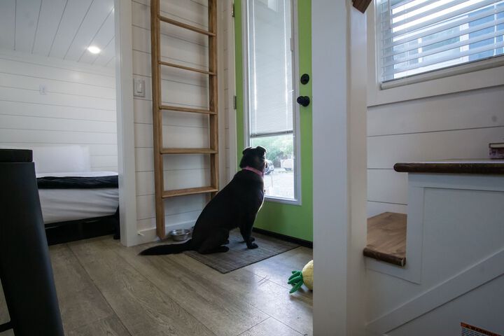 Pet Friendly 75 of 77