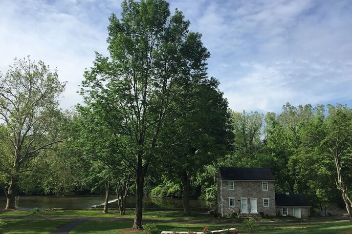 Property Grounds 117 of 119