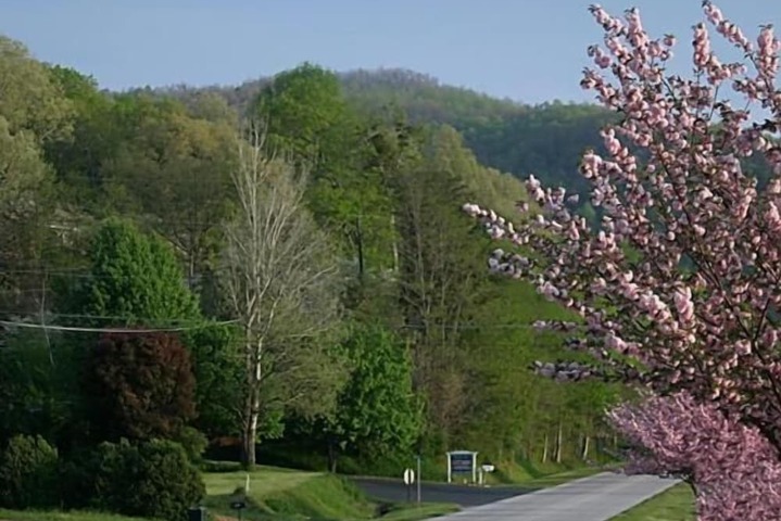 Mountain Aire Cottages Inn & Glamping