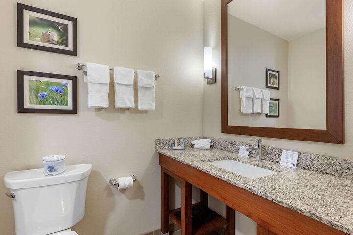 Comfort Inn White House