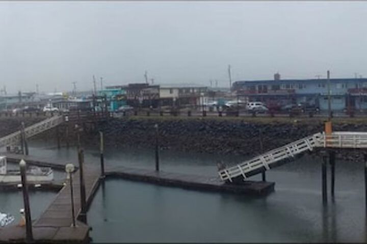 Islander Westport
