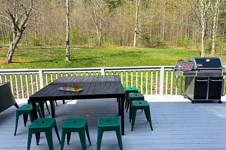The Norsdale plus CMYK Motel on 10 acres in Phoenicia