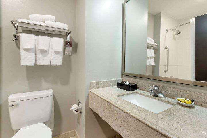 Best Western Plus Edinburg Inn & Suites