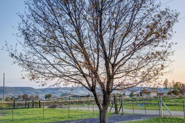 3BR Retreat in Prosser Perfect for Wine Lovers
