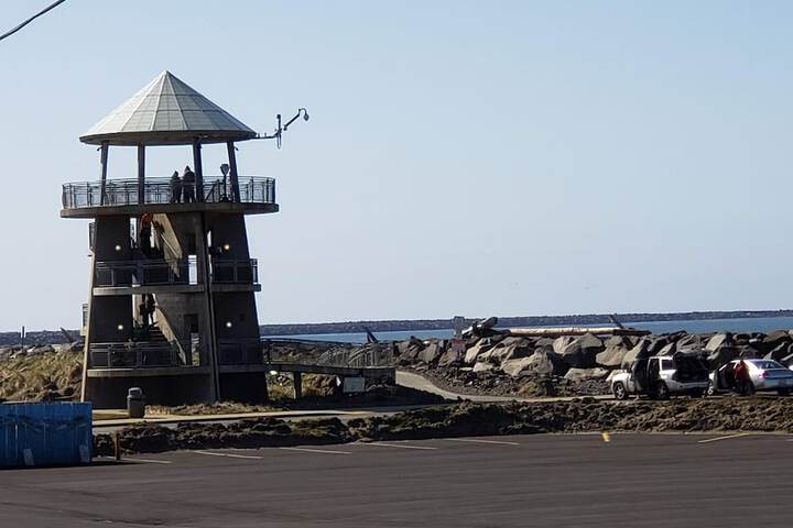 Islander Westport