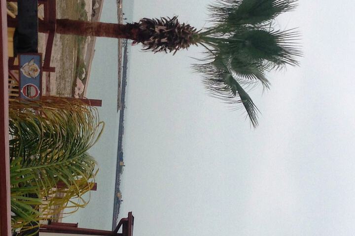 Beach 159 of 182