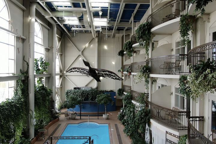 Pool 13 of 83