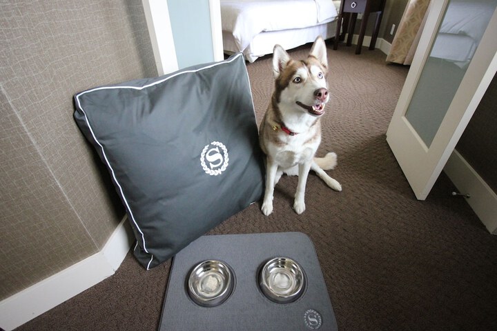 Pet Friendly 116 of 117