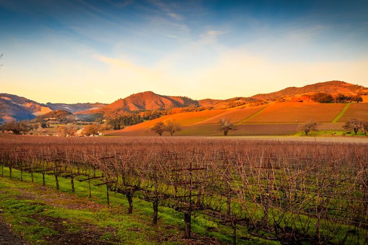 Hyatt Regency Sonoma Wine Country