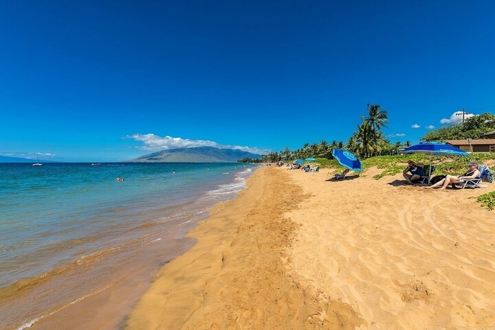 Beach 266 of 333