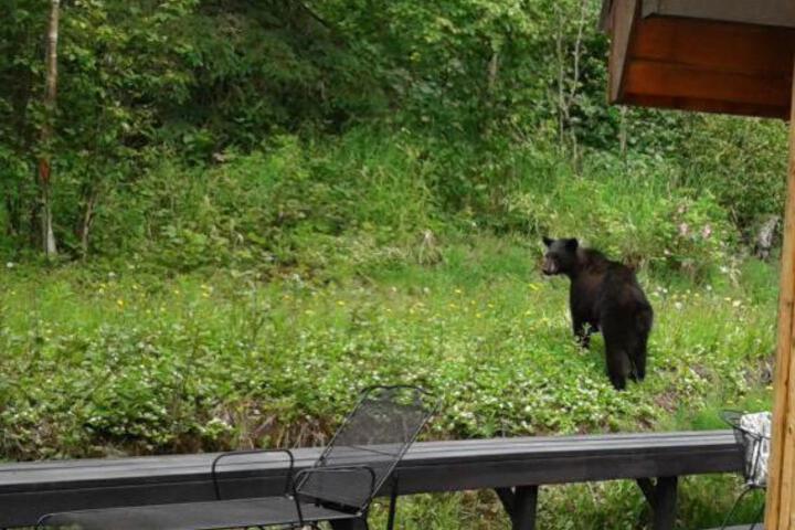 Alaska Chalet Bed & Breakfast