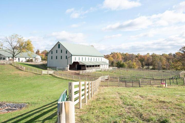Cozy Cow Homestead with pool!