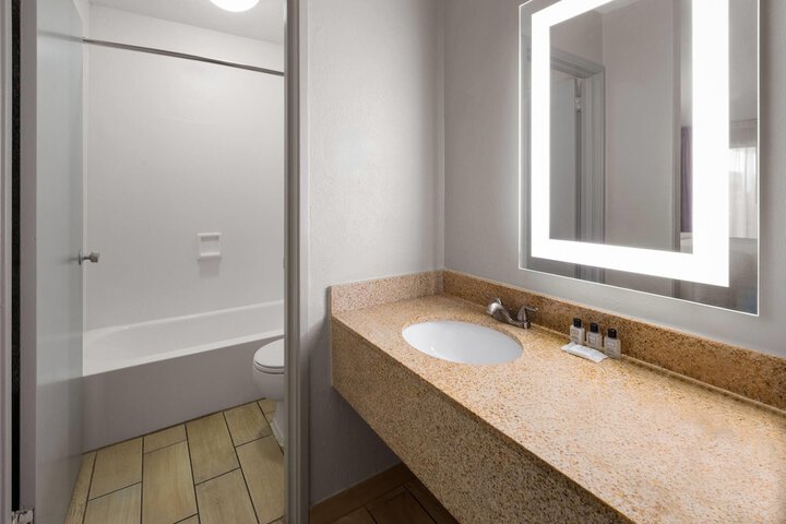 Wyndham Garden Romulus Detroit Metro Airport