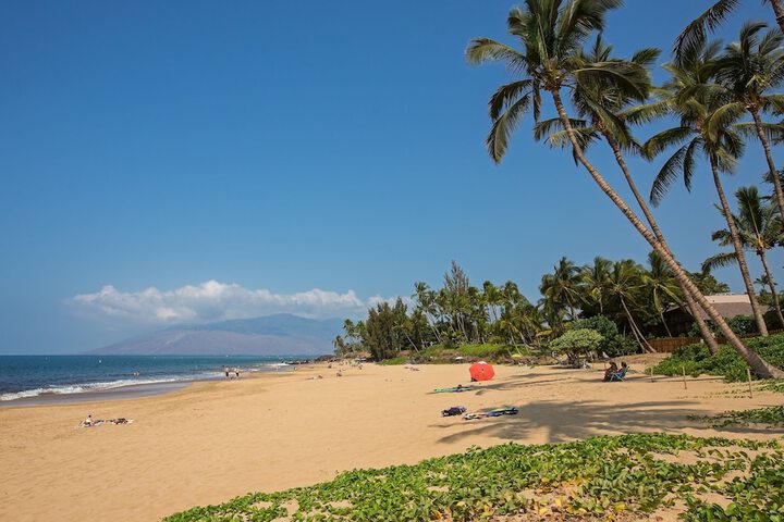 Maui Coast Hotel