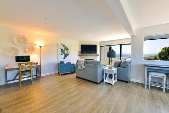Royal Villa - Ocean View - Heated Pools - SEASCAPES BEST 1 BEDROOM - 3 BEDS - End Unit
