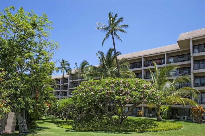 Kihei Akahi D 414 Condo