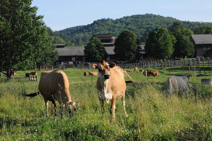 Woodstock Inn & Resort
