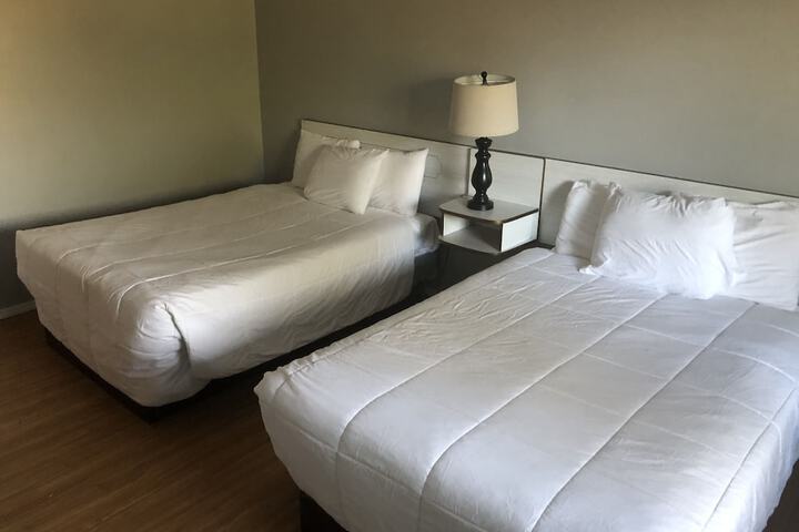 Room 26 of 42