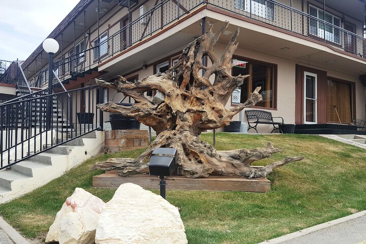 Bristlecone Motel