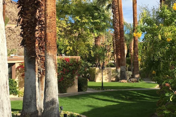 Property Grounds 46 of 49