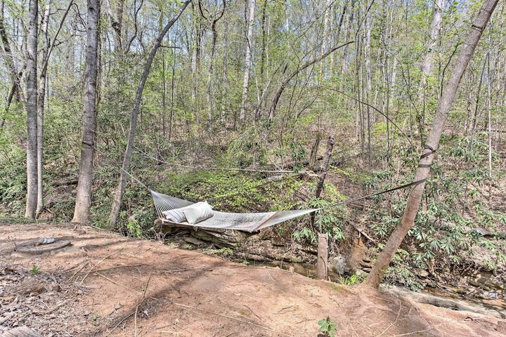 Enchanting Tryon Home w / Hot Tub 14 Mi to Tiec!