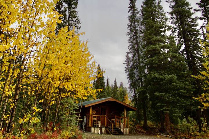 Carlo Creek Cabins
