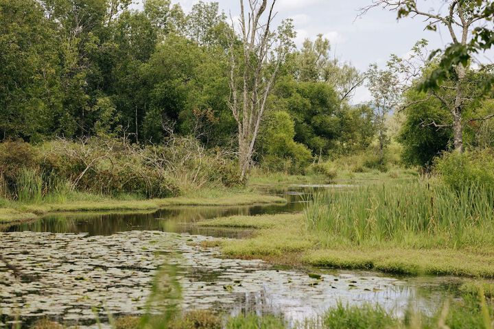 Battenkill Glamping Resort