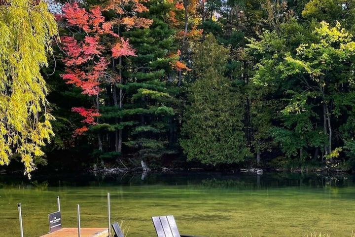 The Cottage