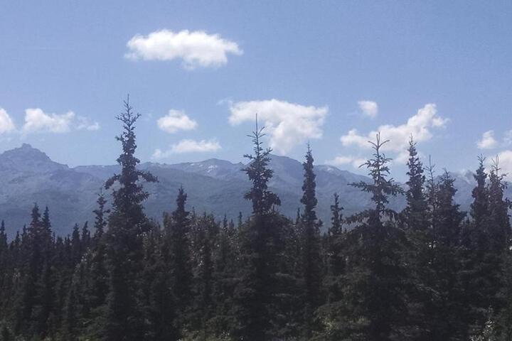 Denalis Alaskan Spruce Cabins