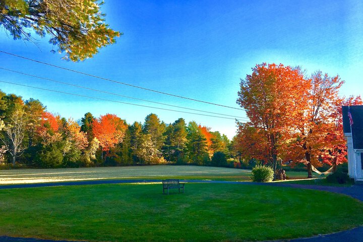 Property Grounds 64 of 65
